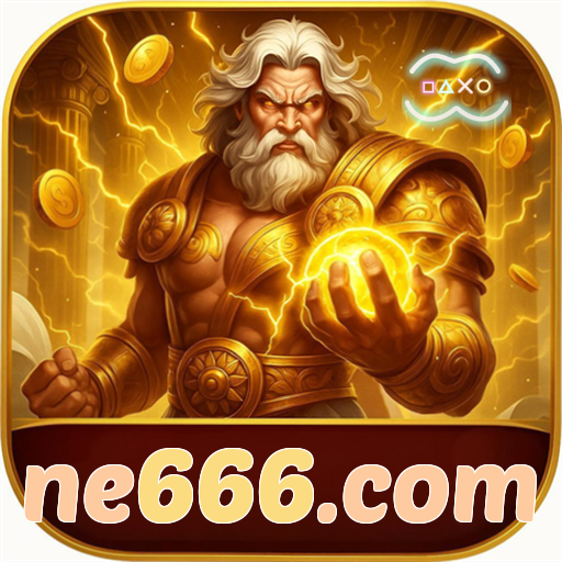 ne666.com